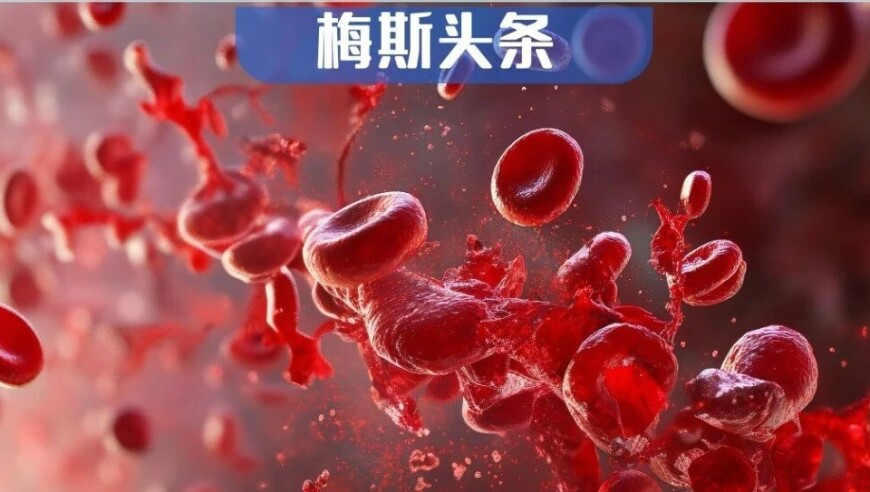 香港最新正版四不像,北京海关查获27.7千克冷冻猪肚,多元化方案执行策略_户外版V4.31